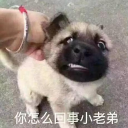 itter li